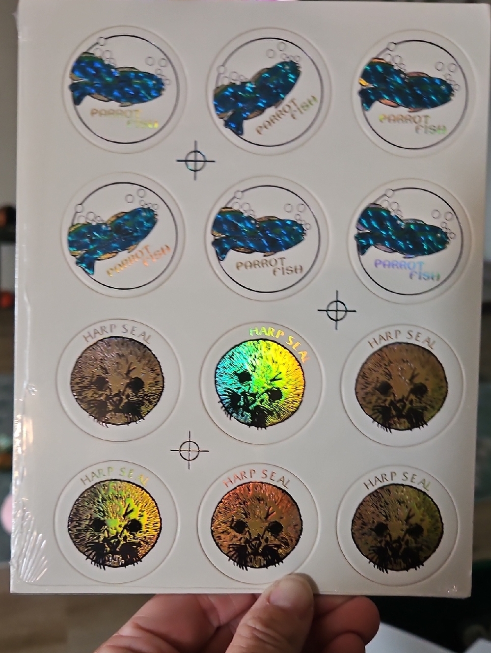 Pogs
